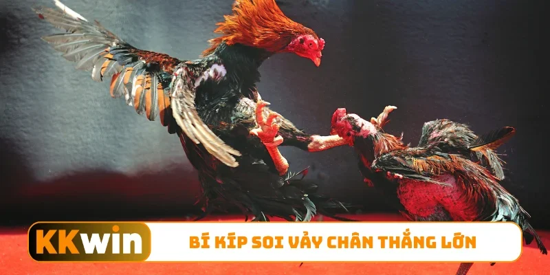 Bí kíp soi vảy chân thắng lớn