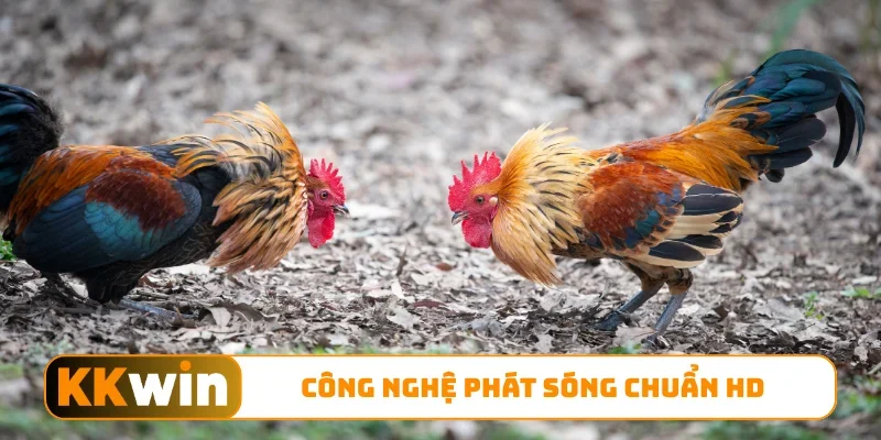 Công nghệ phát sóng chuẩn HD