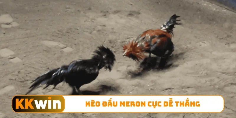 Kèo đấu Meron cực dễ thắng