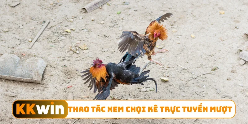 Thao tác xem chọi kê trực tuyến mượt